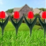 Virágágyás szegély - piros tulipánokból